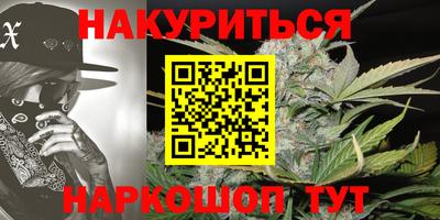 гашик Ливны