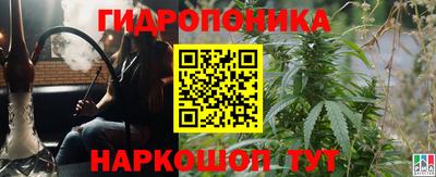 гашик Ливны