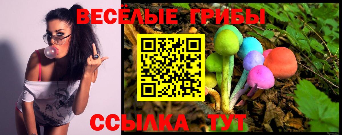 Галлюциногенные грибы Psilocybe  Псилоцибиновые грибы Psilocybe  Зима  Вход с VPN 